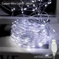 Kupferdrahtlicht / 3 Meter 30 LEDs / Weiß / USB Immer an