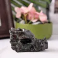 Στυλ Κεφαλής Δράκου / 7cm