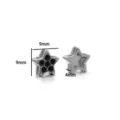 Estrella (Strass Negro) / Plateado