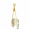 A4 Stijl (70cm) / Gembergeel