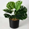 9-Head Green Monstera Leaf (Without Pot)