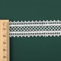Pizzo Ricamato Idrosolubile(D10065) / Larghezza 2.2cm Lunghezza 91cm