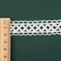 Pizzo Ricamato Idrosolubile(D10148) / Larghezza 2cm Lunghezza 91cm