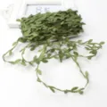 Cardboard / 20m Pack / Green
