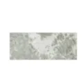 Solid Gray