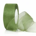 4.0cm Wide x 45m Long / Smoky Green (5B33)