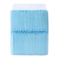 Hot-selling Style / S (100 Pieces/Pack) / Blue