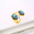Gold Tone Abalone Shell Style (C)