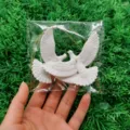 colomba della pace / Bianco