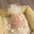 Un gato lleva un vestido de punto rosa jaspeado, con volante acanalado crema y colgante de osito - XS / Vestido de Oso