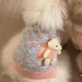 Primer plano de chaleco tejido azul jaspeado para mascota, con borde rosa y pequeño oso decorativo - XS / Suéter de Oso