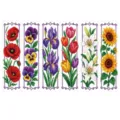 6-delige Set / Kleurrijke Bloemplanten
