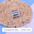 Sequin Ribbon - Silver / 6mm * 5 Yards