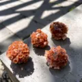 Quatre amas de cristaux d’aragonite marocaine, orange rouge, photographiés en vue oblique - Pièce Unique