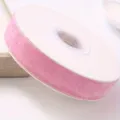 Rosa con Filo d'Argento