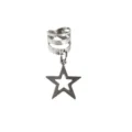 Silver Star