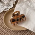 6cm / Tortoise