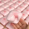 Strawberry Splash Square / 1 Piece / Pink