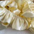 Champagnegoud