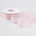 Filo Luminoso (10K753) / Larghezza 2,5 cm Lunghezza 18 m / Rosa chiaro
