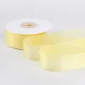 Filo Luminoso (10K758) / Larghezza 2,5 cm Lunghezza 18 m / Giallo Limone