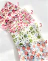 Tracing Fruit Style 1 / m5 Refill (10 Sheets)