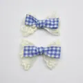 Geruite Strik Accessoire (Zonder Klem) (5) / Blauw
