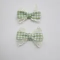 Geruite Strik Accessoire (Zonder Klem) (5) / Groen