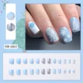Christmas Light Blue Snowflake Glitter Style (FDX-0023)