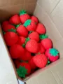 Erdbeere Squishy