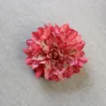 Rosa rojo