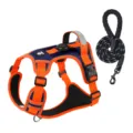 Geschirr und Leine Set / Größe S (Inklusive 1,5m Leine) / Orange Kontrast