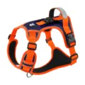 Nur Geschirr / Größe S (3,3 cm Locator-Schlitz) / Orange Kontrast