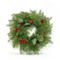 66-Mesh Small Wreath / Eucalyptus Leaves Decor Style