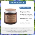 Wild Bluebell / Small Amber Cup (80g Soy Wax)