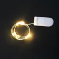 2 Metri 20 LEDs / Bianco caldo