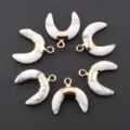 Single / Howlite