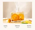 100ml / Basil & Mandarin