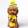 Gestricktes Hunde-Set aus Mütze und Schal mit gelben Streifen für kleine Hunde - XXS / Gelb-Braun Gestreift