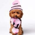 Rosafarbenes gestreiftes Strickset aus Mütze und Schal für kleine Hunde und Katzen am Welpen - S / Rosa-Braun Gestreift