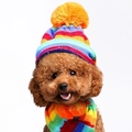 Detailansicht des regenbogenfarbenen Stricksets mit Mütze und Schal für Hunde - XXS / Regenbogenstreifen
