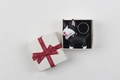 Detailed close-up of a bull terrier dog keychain in a white gift box with red ribbon - Black Dog with Gift Box