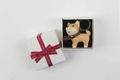 Cute Shiba Inu dog keychain with leather collar and premium white textured gift box - Yellow Dog with Gift Box