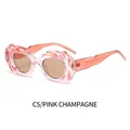 Lunettes de soleil nuage roses rétro avec monture texturée et verres champagne C5 - Monture Rose Verres Champagne (C5)