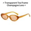 Vintage oval sunglasses with transparent tea-colored frame and champagne lenses - Orange Frame & Champagne Lenses