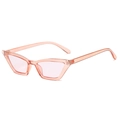 Gafas de sol retro cat-eye con montura rosa transparente y cristales rosa de estilo Y2K - Montura Rosa Transparente Lentes Rosas
