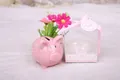 Rosa gepunktetes Sparschwein in transparenter Geschenkbox mit Schleife und Anhänger - Rosa