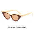 Cat eye sunglasses in beige and brown frame with champagne lenses fashion eyewear C6 - Beige Frame Champagne Lens