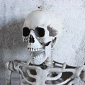 Macro detail of realistic human skeleton head and ribcage for Halloween horror decor - 165cm