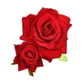 Elegant double red velvet rose hair clip with green leaves on white background - Red